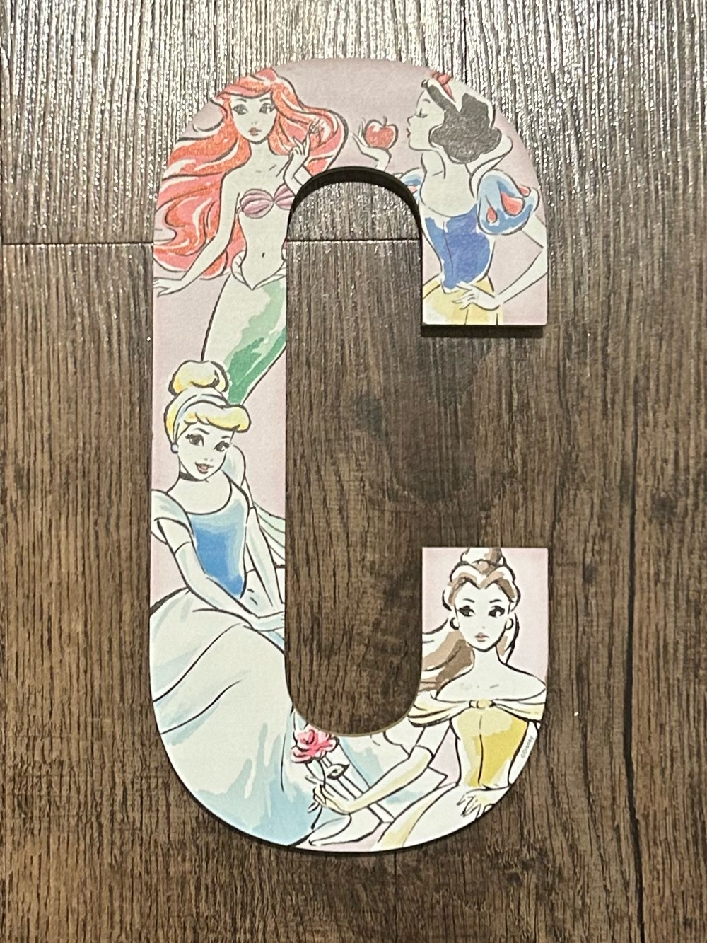 Disney Princess Inspired 'C' Wall Accent